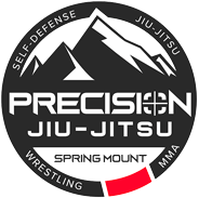  Precision Jiu-Jitsu Spring Mount